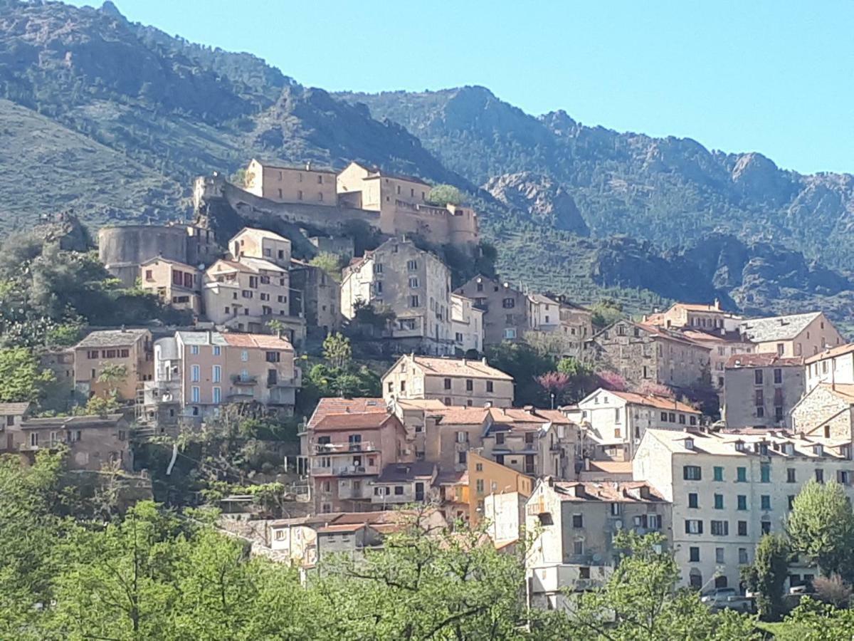 Charmant Studio Dans Residence Neuve Et Calme Corte  Exterior foto